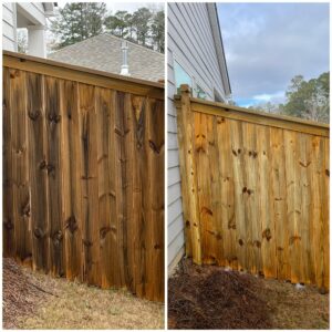 Fence Cleaning | ProWash 88