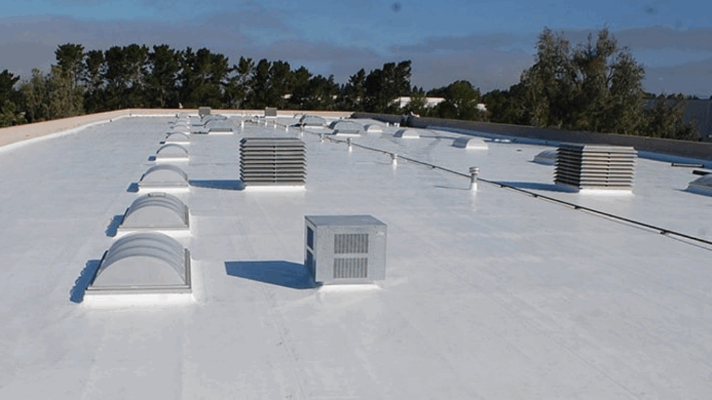 Like New TPO Roof after cleaning